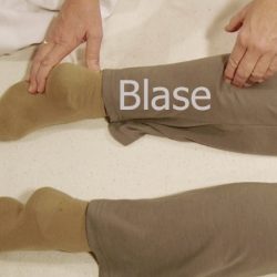 Shiatsu Lehrvideo Meridian Blase