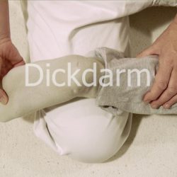 Shiatsu Lehrvideo Meridian Dickdarm