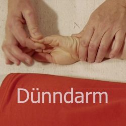 Shiatsu Lehrvideo Meridian Dünndarm