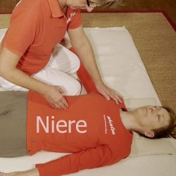 Shiatsu Lehrvideo Meridian Niere